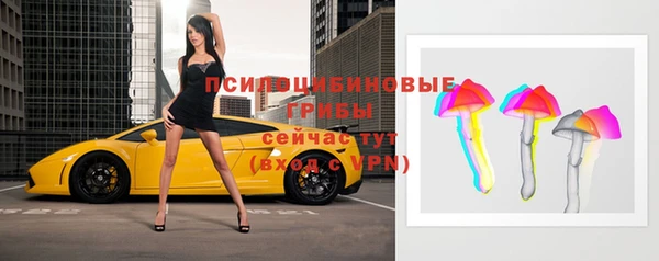 мяу мяу мука Баксан