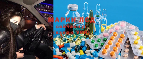 мяу мяу мука Баксан