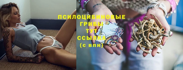 мяу мяу мука Баксан